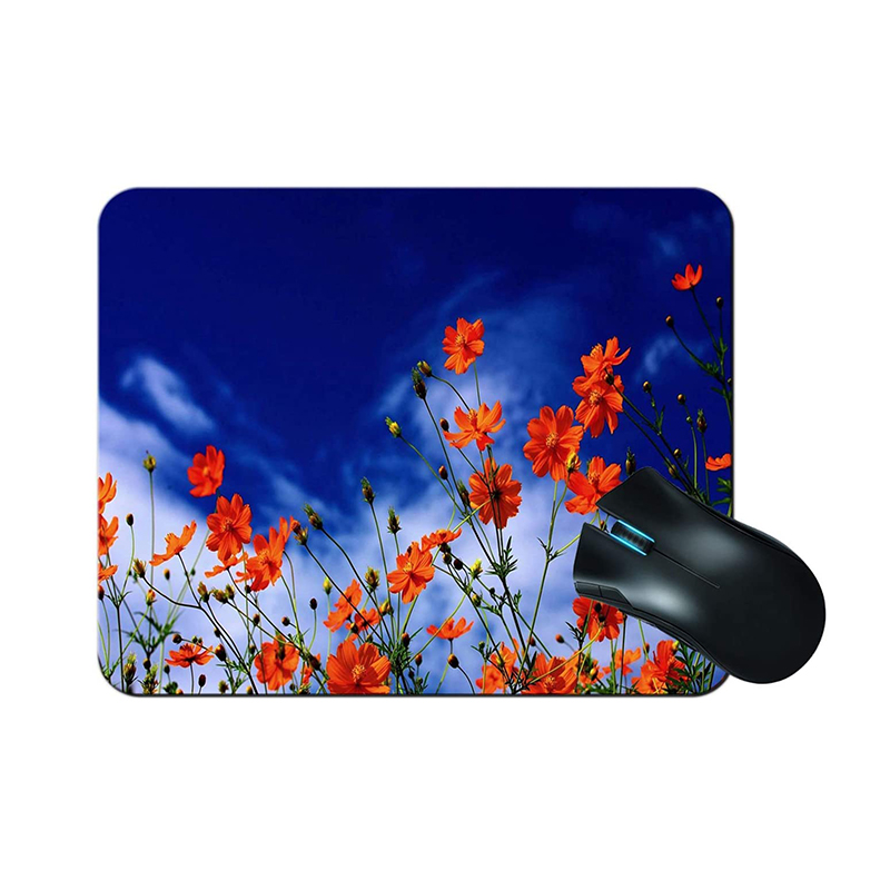 10pcs/Lot Sublimation Blanks R - Mouse Pad Blank Sublimation 리뷰 및 가격